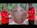 STINGRAY FISH RECIPE |  Thirukkai Meen Curry | World Food Tube