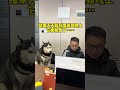I was afraid that he would be anxious and depressed at home alone, so I took him to work. I neve