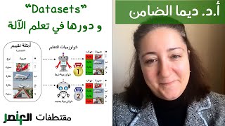 معنى ”Dataset“ و دورها في تعلم الآلة (Machine Learning)