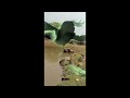 My first vlog 