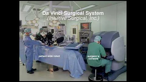 Haptic Technology in Education | Melisa Orta Martinez | TEDxSaratogaHighSchool