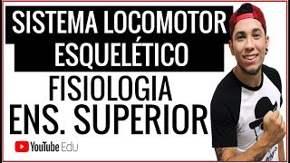 SISTEMA LOCOMOTOR ESQUELÉTICO │PARA ENSINO SUPERIOR│