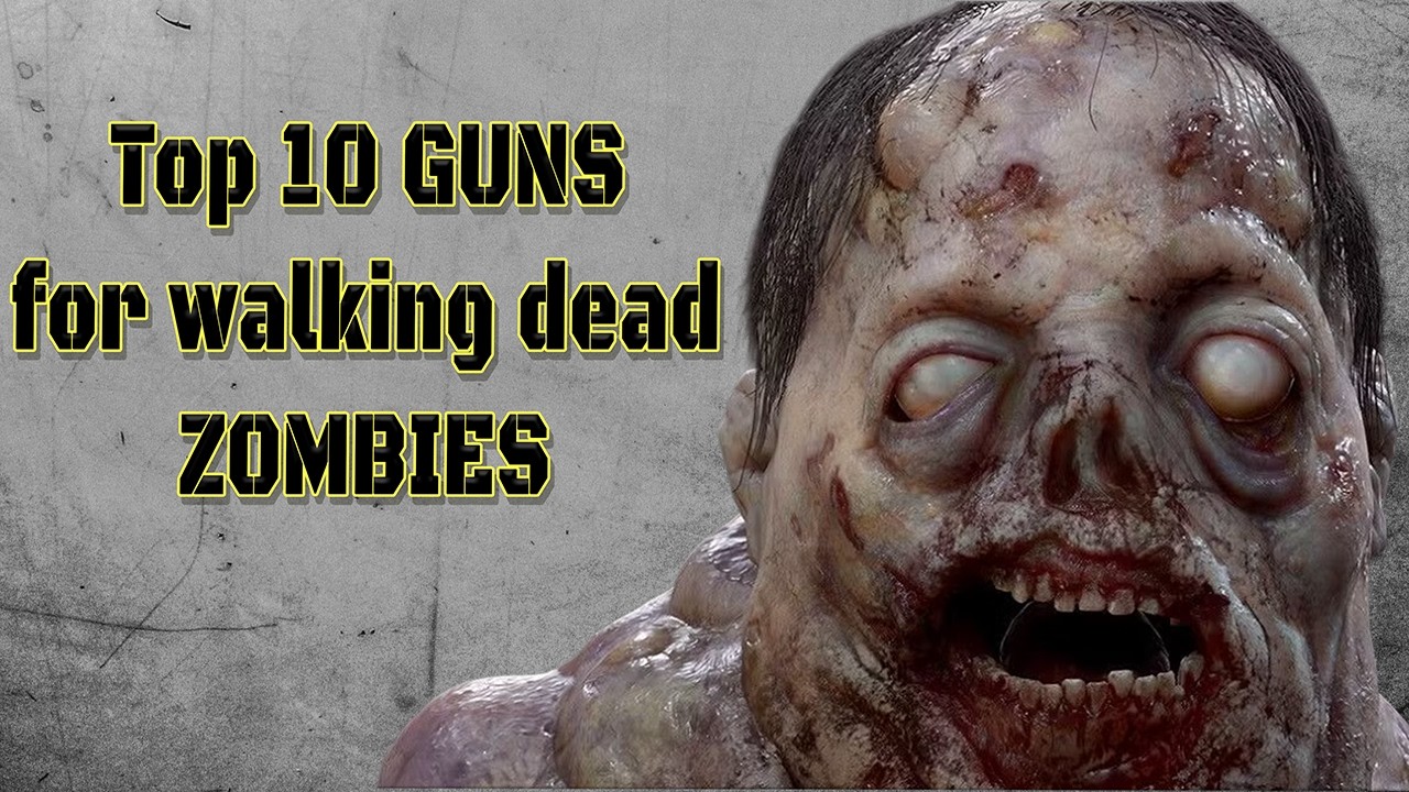 10 Best GUNS for Walking Dead Zombies