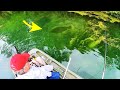 ONCE in a LIFETIME CATCH in CLEAR WATER POND!! (monster)