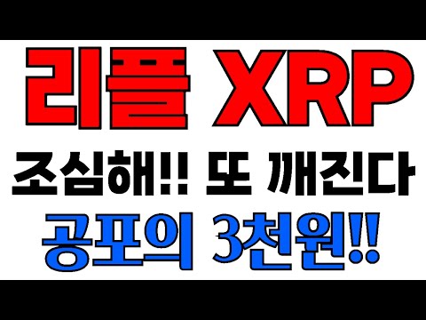 <strong>아르고</strong>  아르고코인 소닉SVM 매수되셨나요?? 코인거래소 추천나갔는데..