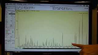 Mass Spec Lab: ELECTROSPRAY Ionization (and ADDUCTS) using cryopumped SCIEX triple quad  MS