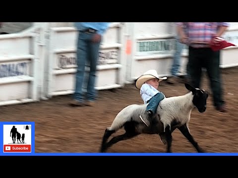 Mutton Bustin' 🦙 2021 Saint's Roost Ranch Rodeo | Saturday (Censored)