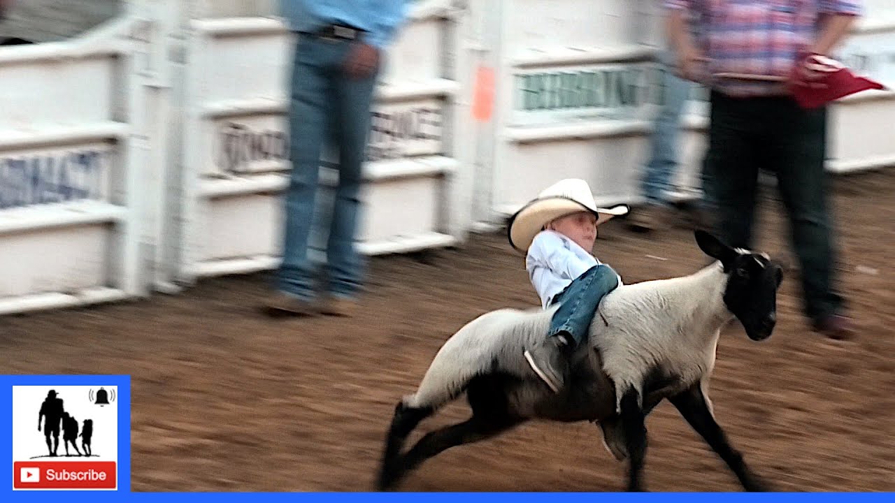 How To Make A Mutton Bustin Rope