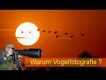 Abenteuer Naturfotografie / Warum Vogelfotografie?