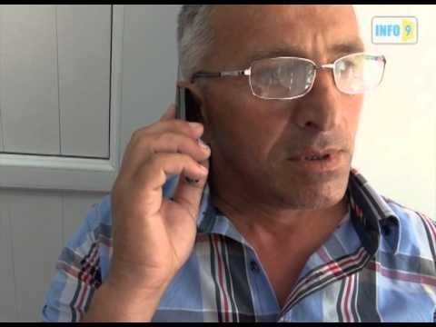 „ქართული ოცნების\" კოორდინატორი