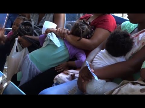 La dengue revient en force en République dominicaine | AFP News La dengue revient en force en République dominicaine | AFP News