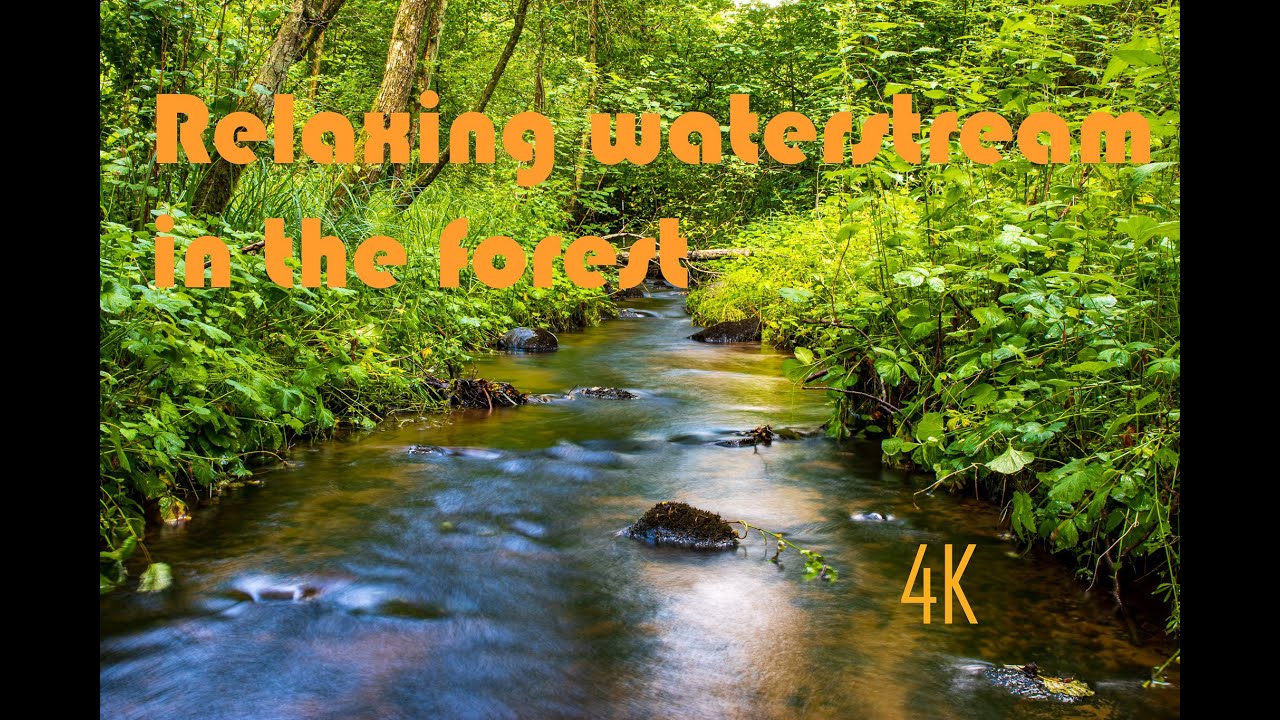 Waterstream Calming Waterstream in the Woods. 4K #relaxing #waterstream #sleep # ...