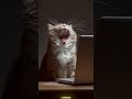 Travailler c'est trop dure !