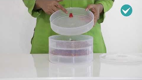 Sprout Maker | #ShopClues