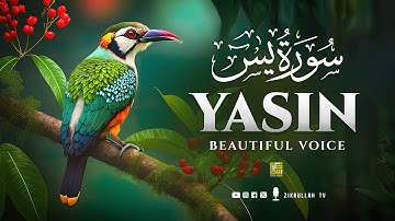 Surah Yasin (Yaseen) سورة يس | Wonderful Relaxing Heart Touching Voice | Zikrullah TV