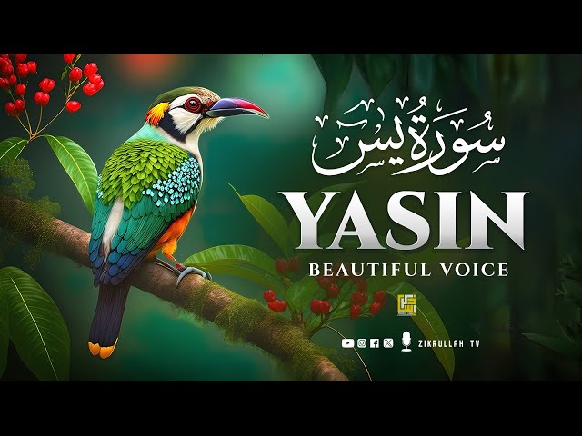 Surah Yasin (Yaseen) سورة يس | Wonderful Relaxing Heart Touching Voice | Zikrullah TV class=