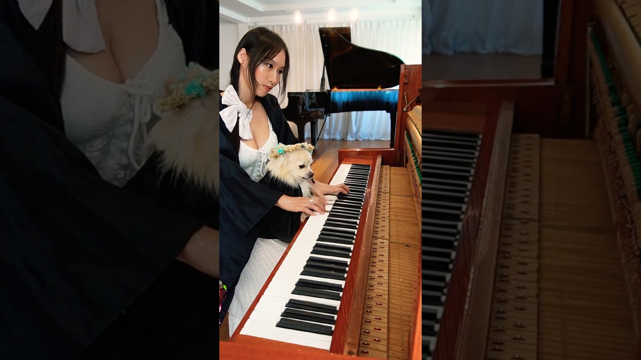 CHILL PIANO DAY 🐾 Playing Frieren OST for my chihuahua #frieren #shorts #cosplay