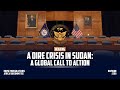 A Dire Crisis in Sudan: A Global Call to Action
