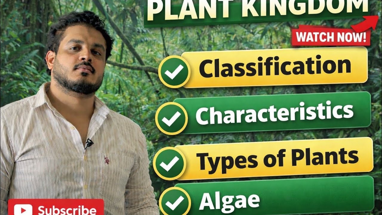 Plant Kingdom | NEET Biology | XI Biology | Algae | System of Classification