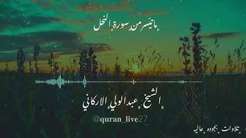 تلاوة مميزه للشيخ عبد الولي الاركاني