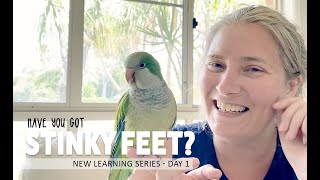 Have you got Stinky Feet?  Parrot Learning a New word