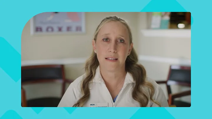 AskVCA Dermatology - Could my pet have a food allergy?