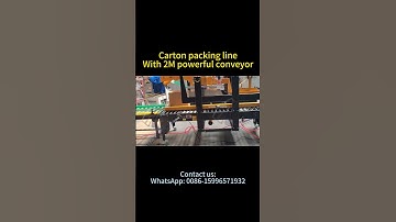 Fully Automated Packaging Line: Erecting, Sealing & High-Speed Conveying #cartonerector
