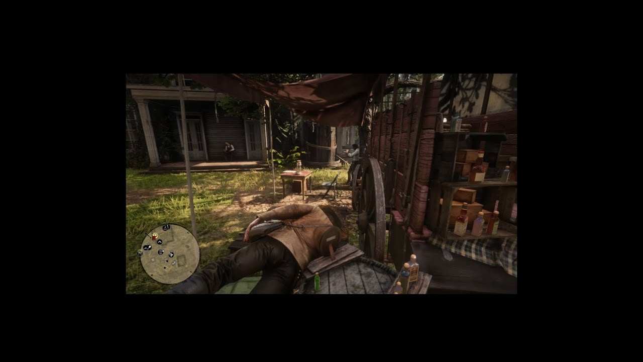 Horse Stimulant YouTube