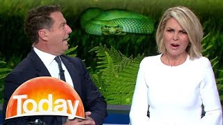 Snake in toilet story leaves TV hosts both horrified and amused