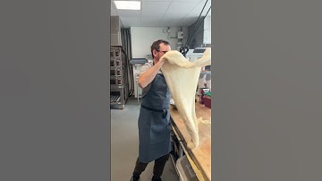 Making Sourdough Pizza at Terroir Calgary 🍕