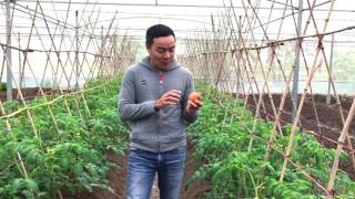 Chỉ Có Số Ít Được Lựa Chọn