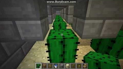 Automatic Cactus Farm Minecraft Tutorial (Works in 1.8)
