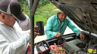 Yeguas,Cerdos Y Aves -Bonita La Sierra De Nuestro Mexico.