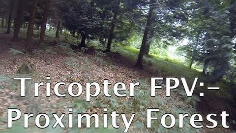 Proximity Forest - Tricopter FPV HD
