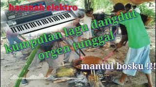 kumpulan dangdut,organ tunggal, pengiring,pesta hajatan