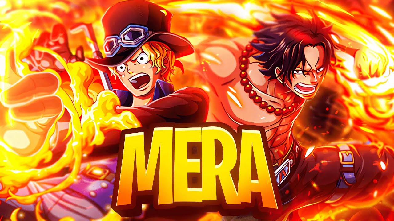 Mera Mera no Mi flame Fruit - Container-ONE PIECE-ワンピース-海贼王-航海王-Anime  Series-Fan Art