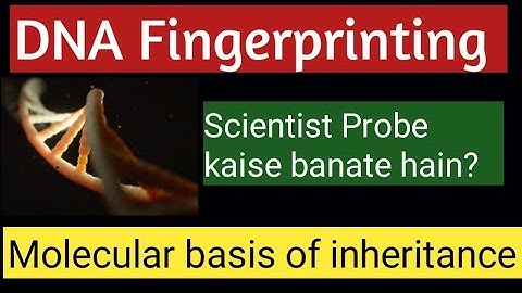 DNA Fingerprinting Made Easy | Class 12 NCERT Biology | Molecular basis of inheritance