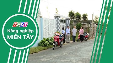 Toàn cảnh Nông nghiệp - 25/7/2024 | Nông nghiệp Miền Tây