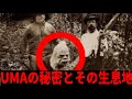 【都市伝説】カメラが捉えた恐怖の未確認生物【UMA】5選
