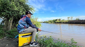 CÂU CÁ DIẾC | Bài mồi câu cá diếc tự nhiên đơn giản - Hiệu quả