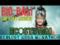 Ecosystem Mega-Marathon | Biobali Series for NEET ft. Vipin Sharma | Ecology for NEET