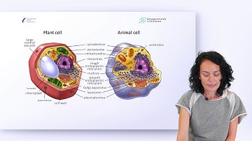 M2-1. Cell organization, cellular structures and functions | Mining Biospectroscopy Data