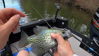 How to Catch Spring Time Crappies and Bluegills!