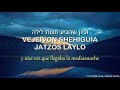 Kinor | כינור - Arpa del rey David | Canta: 🎙 Levy Falkowitz - לוי פולקוביץ | C/traducción