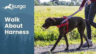 The Walk About Harness | Discourage pulling