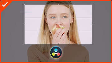 วิธีการ Crop ปรับขนาด และย้ายตำแหน่งวิดีโอ ด้วยโปรแกรม DaVinci Resolve