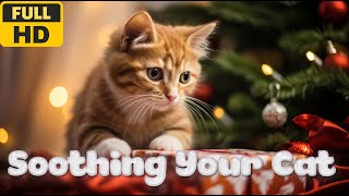 Calming Music for Cats with Anxiety Deep Soothing Music for Anxious, ill and Stressed Cats