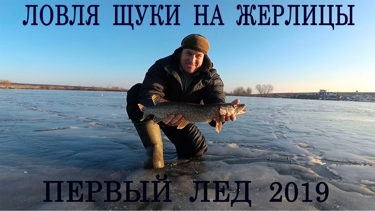 рыбалка видео зима первый лед на жерлицы