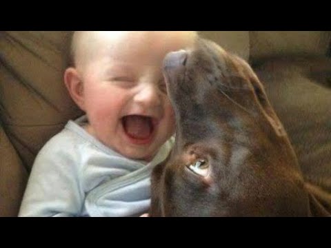 Köpekler Ve Bebekler Komik/Bebekler Ve Köpekler Komik Videolar Köpekler Ve Bebekler Bebek Ve Köpek