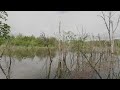 20200528 cloud timelapse by pond